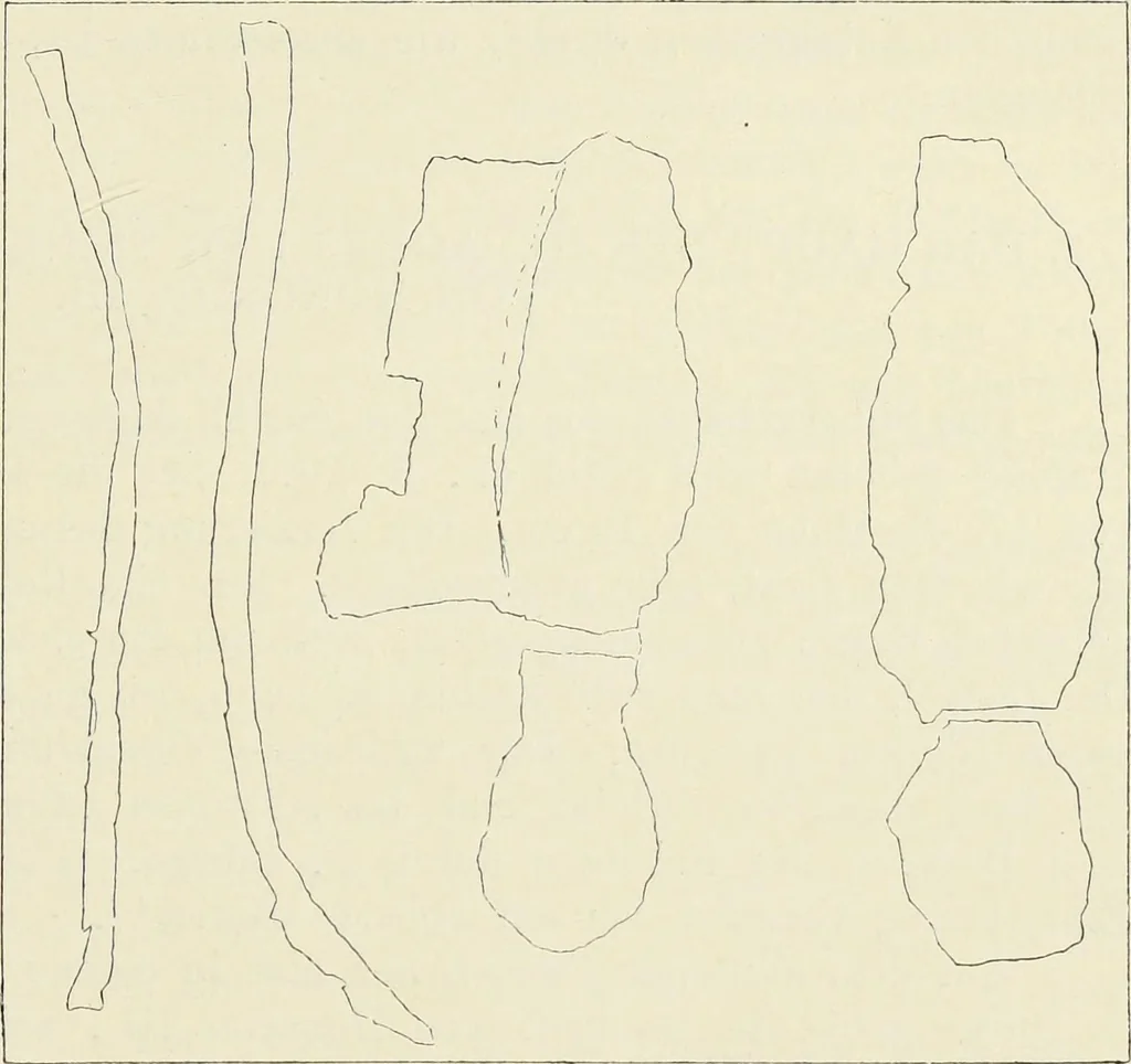 An illustration from Die römische Kapelle Sancta sanctorum und ihr Schatz : meine Entdeckungen und Studien in der Palastkapelle der mittelalterlichen Päpste, 1908, leaf 112