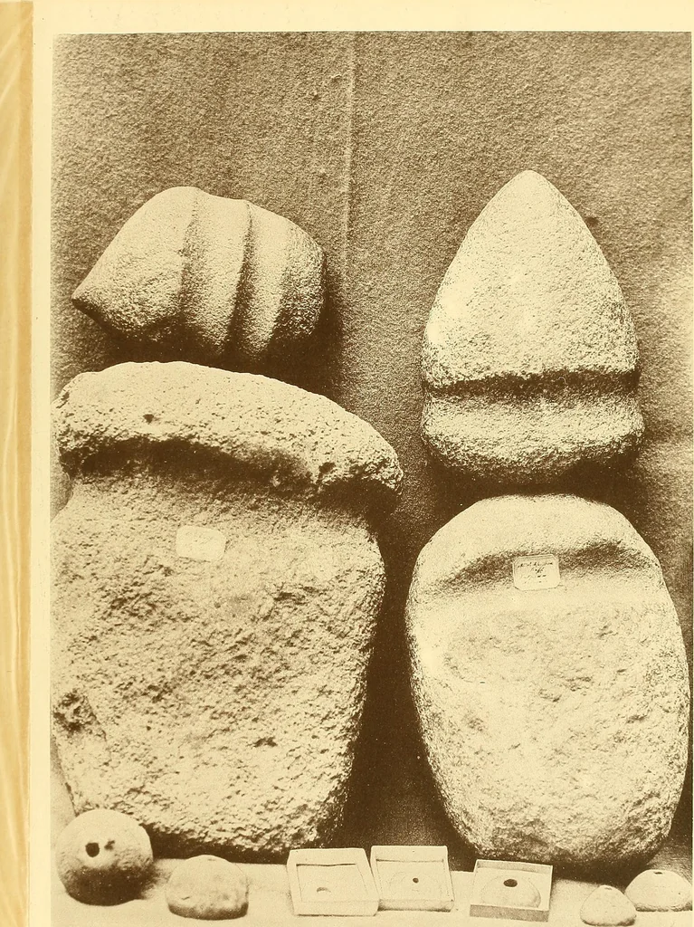 An illustration from Die Sammlungen des Kaukasischen Museums, 1902, leaf 277