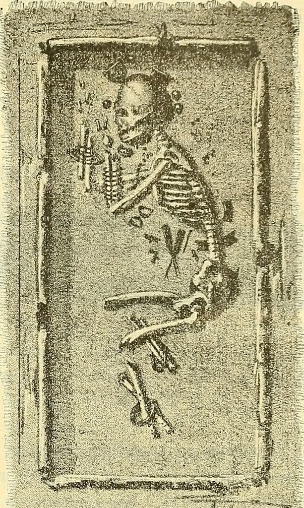 An illustration from Die Sammlungen des Kaukasischen Museums, 1902, leaf 49