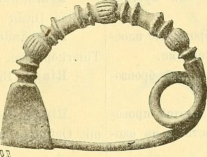 An illustration from Die Sammlungen des Kaukasischen Museums, 1902, leaf 69