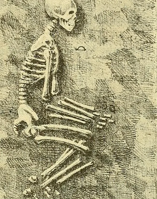 An illustration from Die Sammlungen des Kaukasischen Museums, 1902, leaf 79