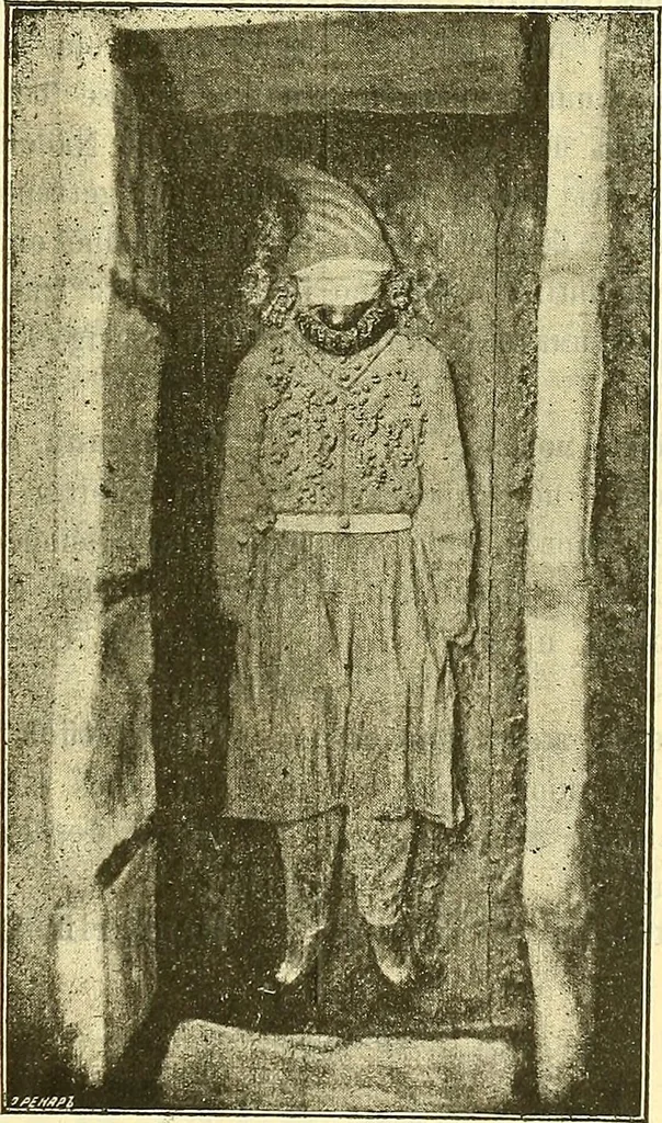 An illustration from Die Sammlungen des Kaukasischen Museums, 1902, leaf 99