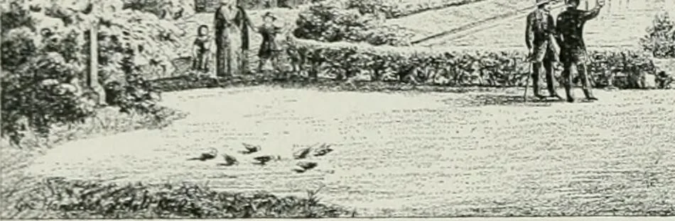 An illustration from Die schmiedekunst bis zum ausgang des 18. jahrhunderts, 1922, leaf 95