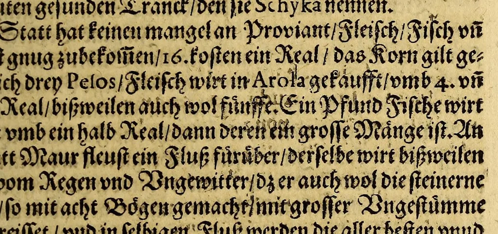 An illustration from Die siebenzehende Schiffart. Das ist: Eigentliche vnnd warhaftige Beschreibung, der wunderbahre[n] Reiss vnd Schiffart, so durch Herr Georgio von Spilbergen glücklichen volbracht., 1620, leaf 71