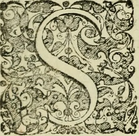 An illustration from Dies natalis serenissimi infantis et principis Boiorum, Maximiliana Emanuelis favoribus sanctorum, heroum crepundiis, et votis Patrum S.I. coronatus : in solemnibus baptismalibus, 1662, leaf 14