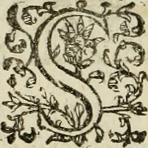An illustration from Dies natalis serenissimi infantis et principis Boiorum, Maximiliana Emanuelis favoribus sanctorum, heroum crepundiis, et votis Patrum S.I. coronatus : in solemnibus baptismalibus, 1662, leaf 17