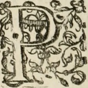 An illustration from Dies natalis serenissimi infantis et principis Boiorum, Maximiliana Emanuelis favoribus sanctorum, heroum crepundiis, et votis Patrum S.I. coronatus : in solemnibus baptismalibus, 1662, leaf 17