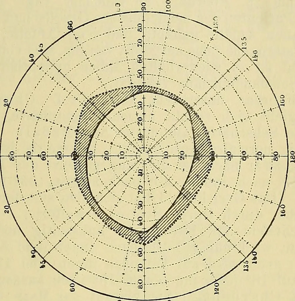 An illustration from Die Suggestion und ihre Heilwirkung, 1888, leaf 278