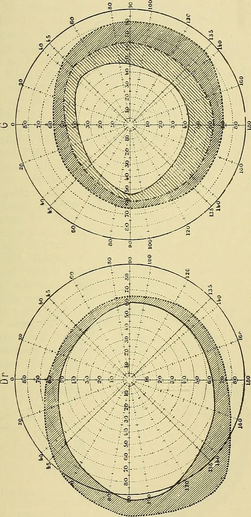 An illustration from Die Suggestion und ihre Heilwirkung, 1888, leaf 282