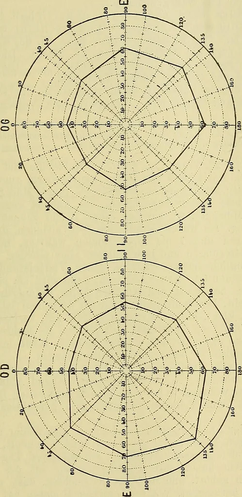 An illustration from Die Suggestion und ihre Heilwirkung, 1888, leaf 294