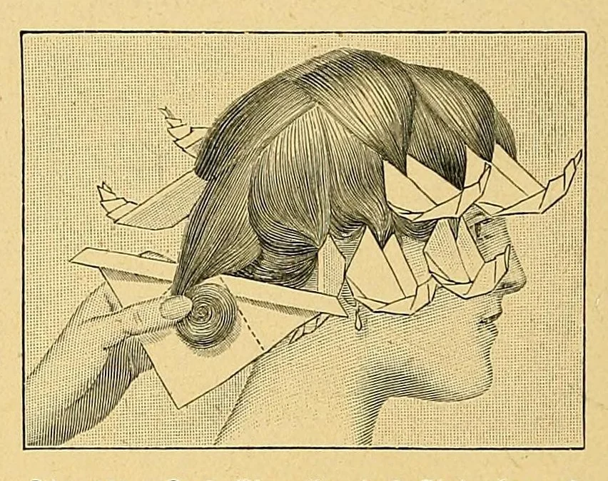 An illustration from Die tüchtige Hausfrau; ein praktisches Nachschlagebuch .., 1913, leaf 146