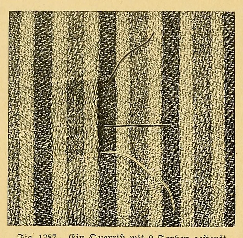An illustration from Die tüchtige Hausfrau; ein praktisches Nachschlagebuch .., 1913, leaf 644