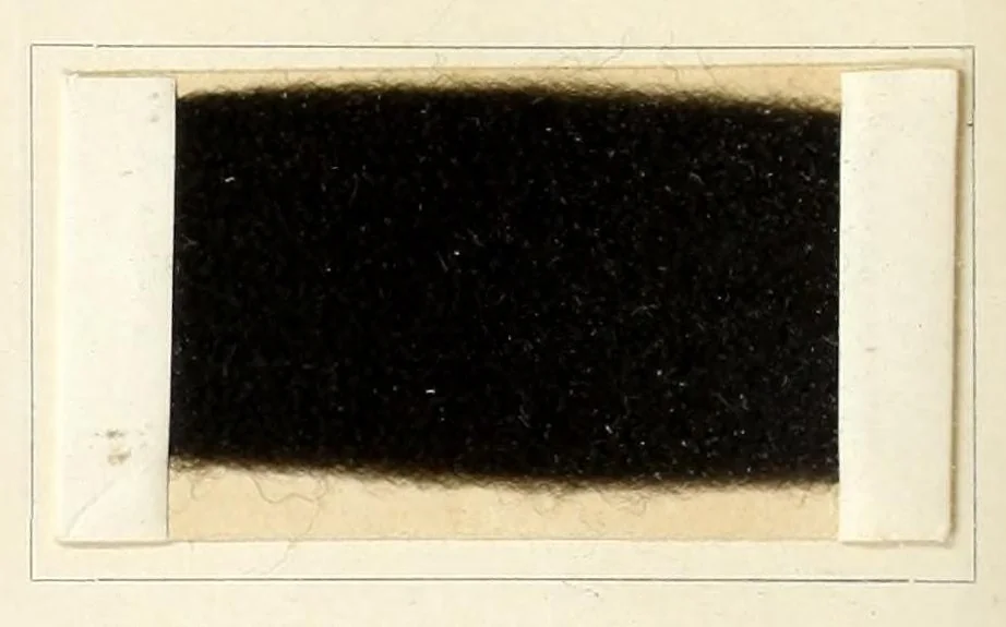 An illustration from Die Teerfarbstoffe der Farbwerke vorm. Meister Lucius & Brüning, Hoechst a.M. auf dem Gebiete der Wollfärberei, 1908, leaf 118