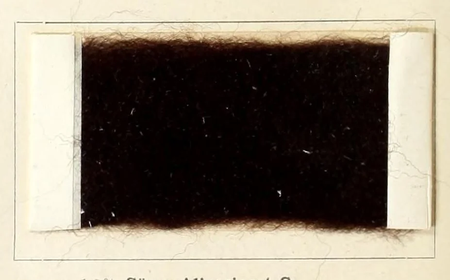 An illustration from Die Teerfarbstoffe der Farbwerke vorm. Meister Lucius & Brüning, Hoechst a.M. auf dem Gebiete der Wollfärberei, 1908, leaf 134