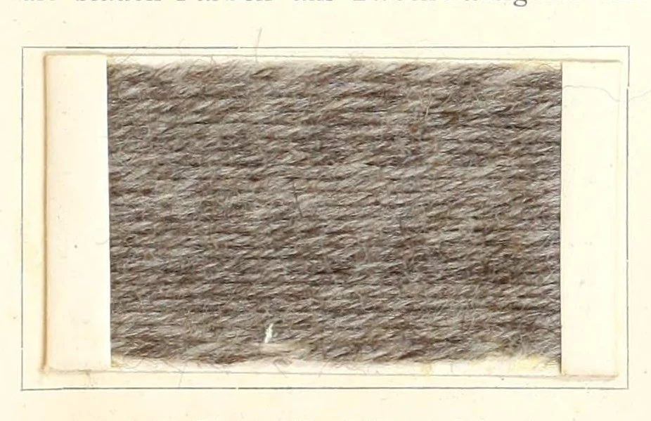 An illustration from Die Teerfarbstoffe der Farbwerke vorm. Meister Lucius & Brüning, Hoechst a.M. auf dem Gebiete der Wollfärberei, 1908, leaf 145