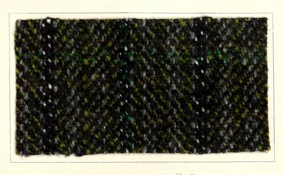 An illustration from Die Teerfarbstoffe der Farbwerke vorm. Meister Lucius & Brüning, Hoechst a.M. auf dem Gebiete der Wollfärberei, 1908, leaf 59