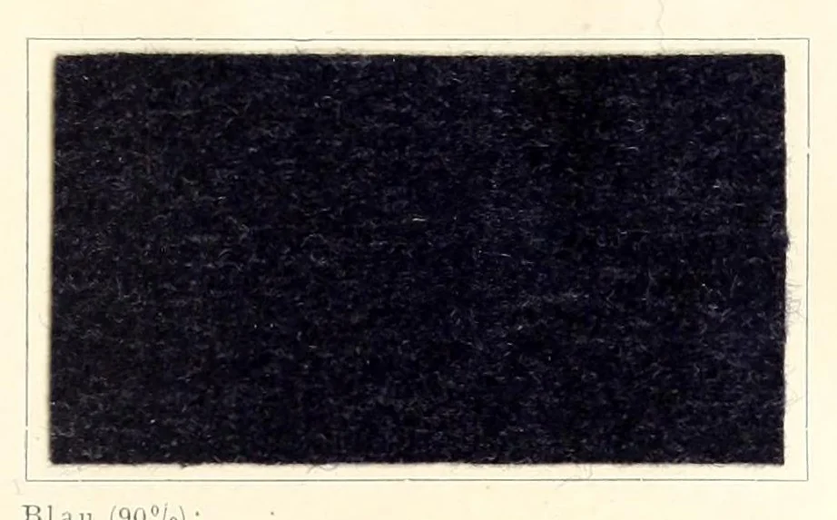 An illustration from Die Teerfarbstoffe der Farbwerke vorm. Meister Lucius & Brüning, Hoechst a.M. auf dem Gebiete der Wollfärberei, 1908, leaf 65