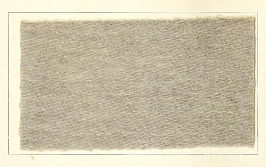 An illustration from Die Teerfarbstoffe der Farbwerke vorm. Meister Lucius & Brüning, Hoechst a.M. auf dem Gebiete der Wollfärberei, 1908, leaf 92