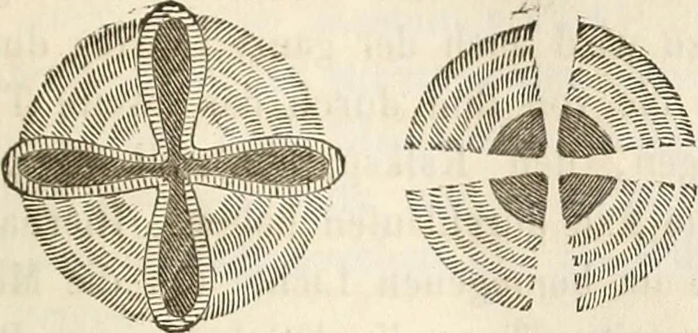An illustration from Die Theorie des Sehens und räumlichen Vorstellens, vom physikalischen, physiologischen und psychologischen Standpunkte, 1861, leaf 195