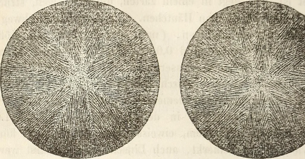 An illustration from Die Theorie des Sehens und räumlichen Vorstellens, vom physikalischen, physiologischen und psychologischen Standpunkte, 1861, leaf 236