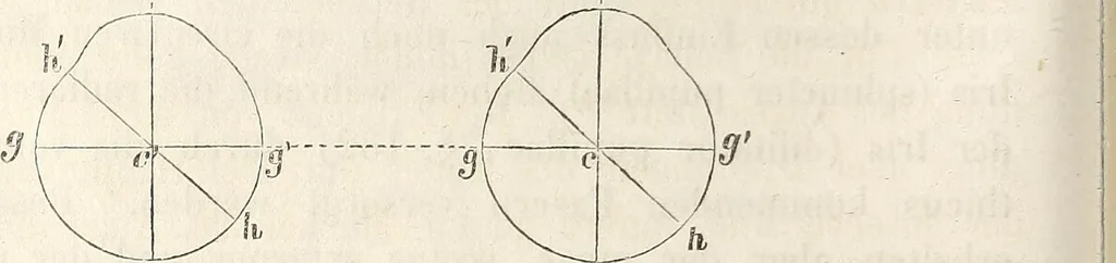 An illustration from Die Theorie des Sehens und räumlichen Vorstellens, vom physikalischen, physiologischen und psychologischen Standpunkte, 1861, leaf 248