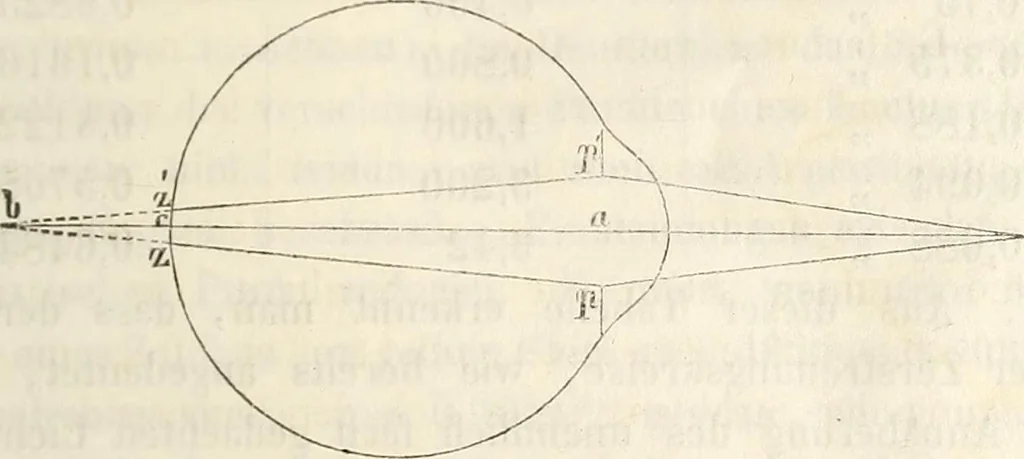 An illustration from Die Theorie des Sehens und räumlichen Vorstellens, vom physikalischen, physiologischen und psychologischen Standpunkte, 1861, leaf 261