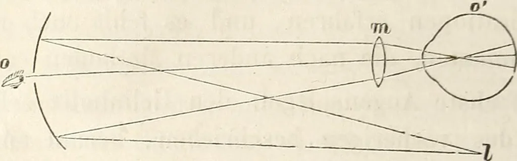 An illustration from Die Theorie des Sehens und räumlichen Vorstellens, vom physikalischen, physiologischen und psychologischen Standpunkte, 1861, leaf 278