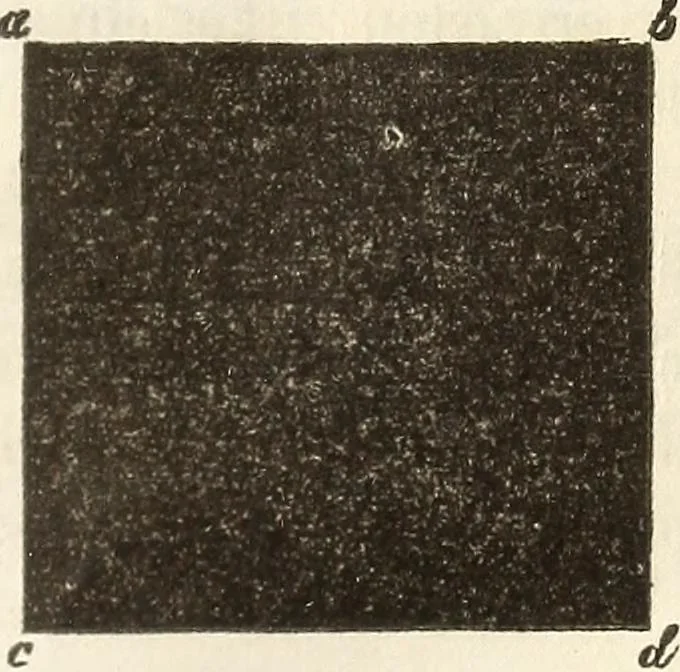 An illustration from Die Theorie des Sehens und räumlichen Vorstellens, vom physikalischen, physiologischen und psychologischen Standpunkte, 1861, leaf 303