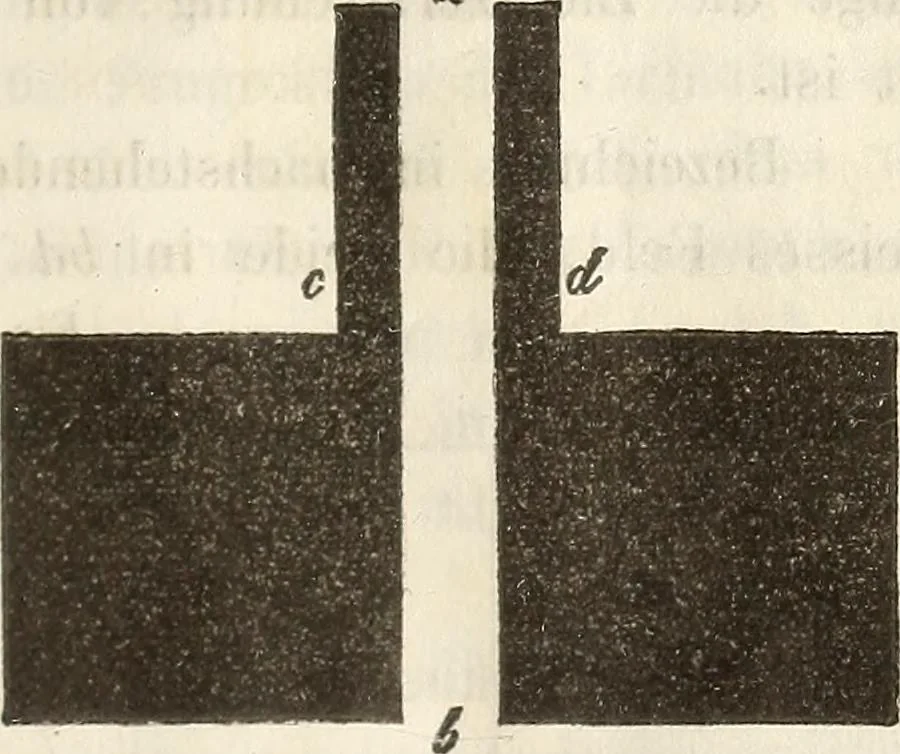 An illustration from Die Theorie des Sehens und räumlichen Vorstellens, vom physikalischen, physiologischen und psychologischen Standpunkte, 1861, leaf 331