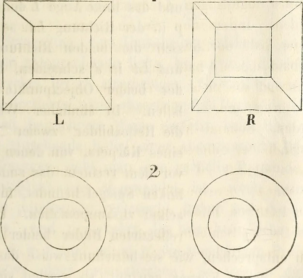 An illustration from Die Theorie des Sehens und räumlichen Vorstellens, vom physikalischen, physiologischen und psychologischen Standpunkte, 1861, leaf 389