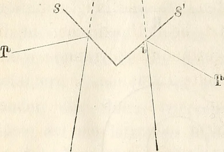 An illustration from Die Theorie des Sehens und räumlichen Vorstellens, vom physikalischen, physiologischen und psychologischen Standpunkte, 1861, leaf 390