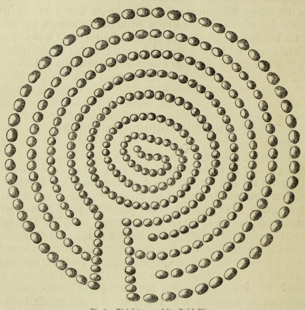 An illustration from Die Trojaburgen Nordeuropas : ihr Zusammenhang mit der indogermanischen Trojasage von der entführten und gefangenen Sonnenfrau (Syrith, Brunhild, Ariadne, Helena) : den Trojaspielen, Schwert- und Labyrinthtänzen zur Feier ihrer Lenzbefreiung, 1893, leaf 50