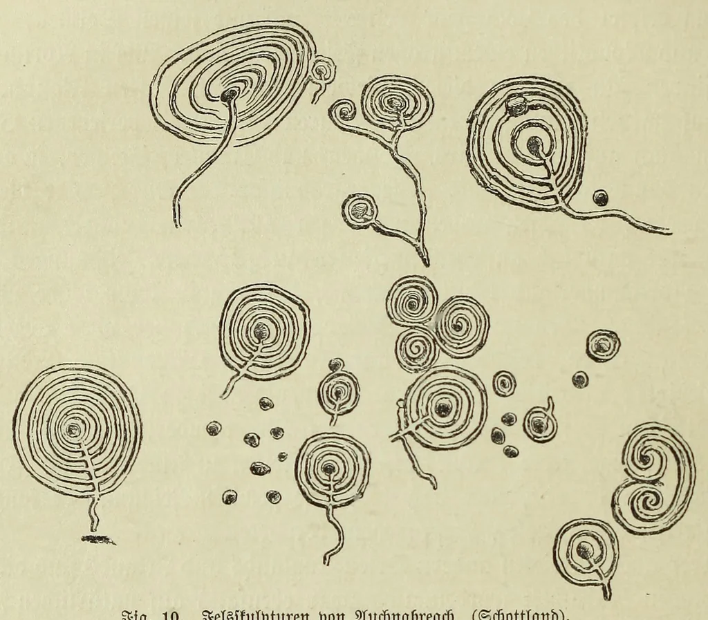 An illustration from Die Trojaburgen Nordeuropas : ihr Zusammenhang mit der indogermanischen Trojasage von der entführten und gefangenen Sonnenfrau (Syrith, Brunhild, Ariadne, Helena) : den Trojaspielen, Schwert- und Labyrinthtänzen zur Feier ihrer Lenzbefreiung, 1893, leaf 88