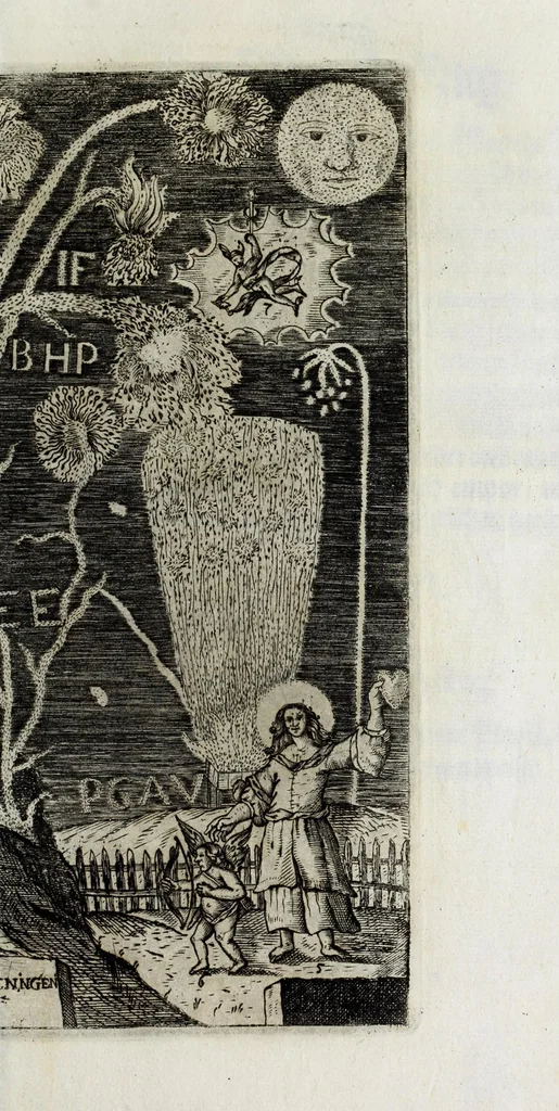 An illustration from Die überwindende Liebe : praesentiret und dargestellet durch ein künstliches Fewr-Werck welches bey hochfürstlicher Häimbführung des durchleuchtigsten Fürsten und Herrn, Herrn Johann Friederichs, Hertzogen zu Braunschweig und Lüneburg [et]c. hoch und hertzgeliebten Gemahlin, der durchleuchtigsten Fürstin und Frauen, Frauen Benedicta Henrietta Philippina, Pfaltz-Gräfin bey Rhein [et]c. glücklichen verbrand worden, zu Hannover den 8. Novembr. nachts umb 9. Uhr, im Jahr Christi 1668, 1668, leaf 13