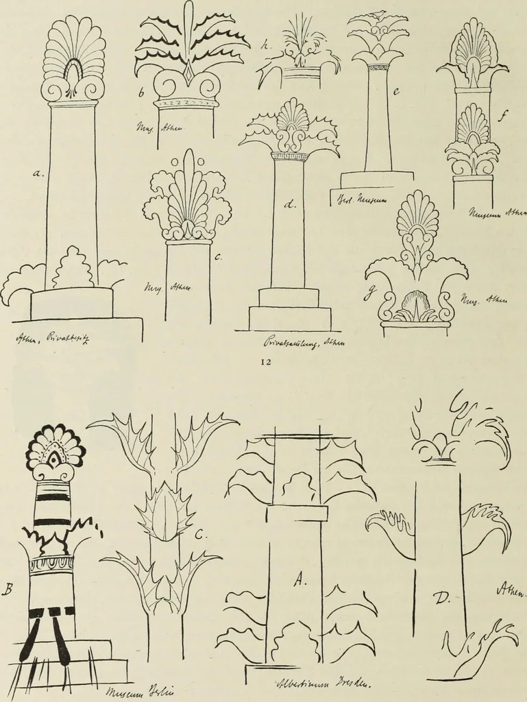 An illustration from Die Ursprungsformen des griechischen Akanthusornamentes und ihre naturlichen Vorbilder, 1896, leaf 19