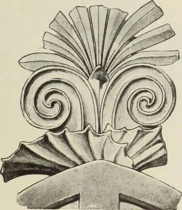 An illustration from Die Ursprungsformen des griechischen Akanthusornamentes und ihre naturlichen Vorbilder, 1896, leaf 22