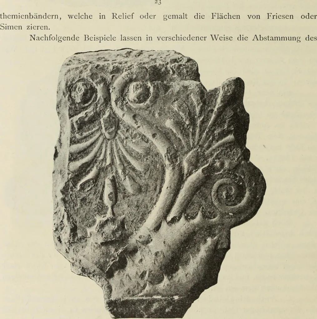 An illustration from Die Ursprungsformen des griechischen Akanthusornamentes und ihre naturlichen Vorbilder, 1896, leaf 25