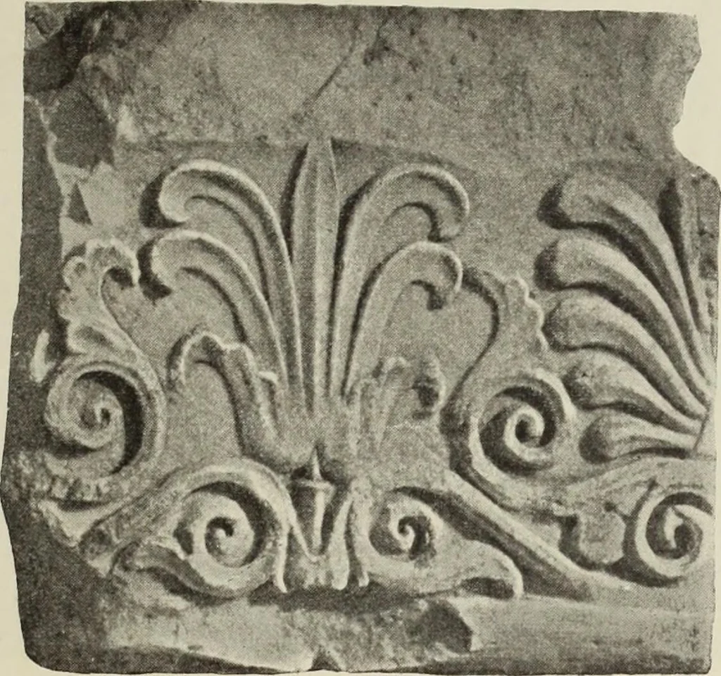 An illustration from Die Ursprungsformen des griechischen Akanthusornamentes und ihre naturlichen Vorbilder, 1896, leaf 28