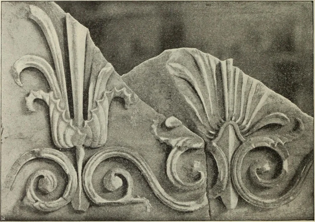 An illustration from Die Ursprungsformen des griechischen Akanthusornamentes und ihre naturlichen Vorbilder, 1896, leaf 29