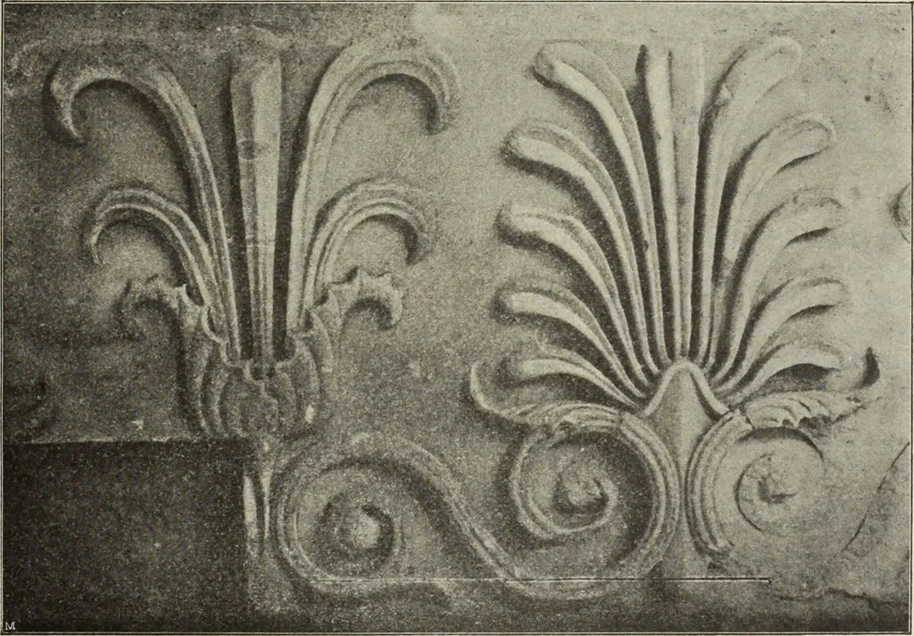 An illustration from Die Ursprungsformen des griechischen Akanthusornamentes und ihre naturlichen Vorbilder, 1896, leaf 30