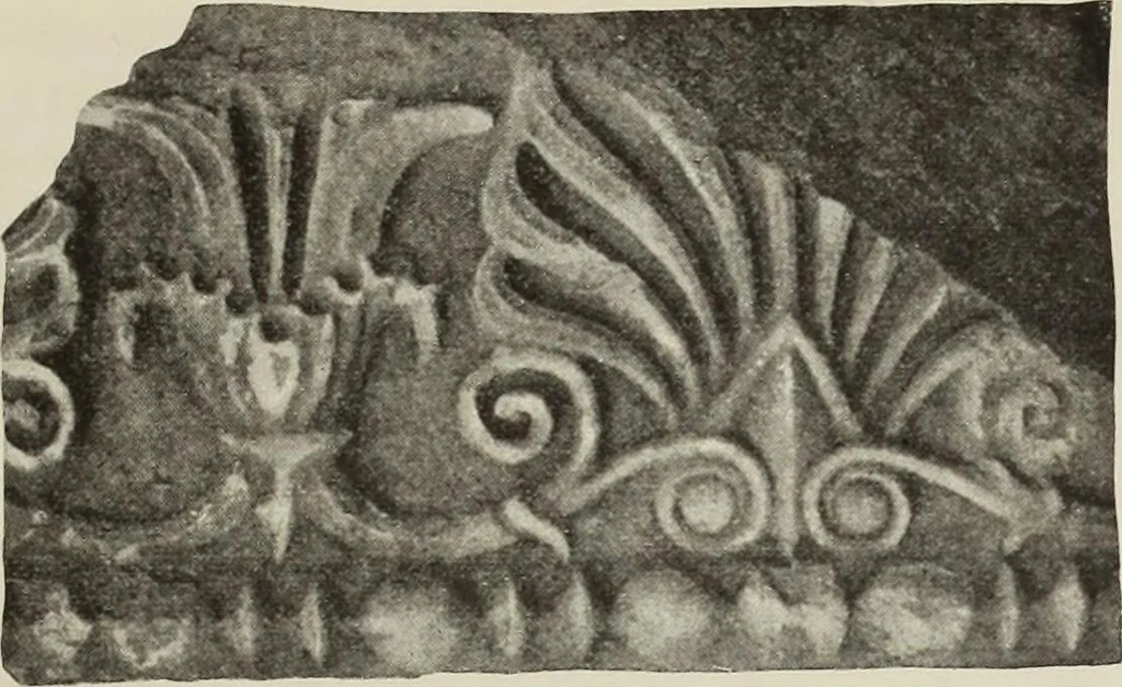 An illustration from Die Ursprungsformen des griechischen Akanthusornamentes und ihre naturlichen Vorbilder, 1896, leaf 32