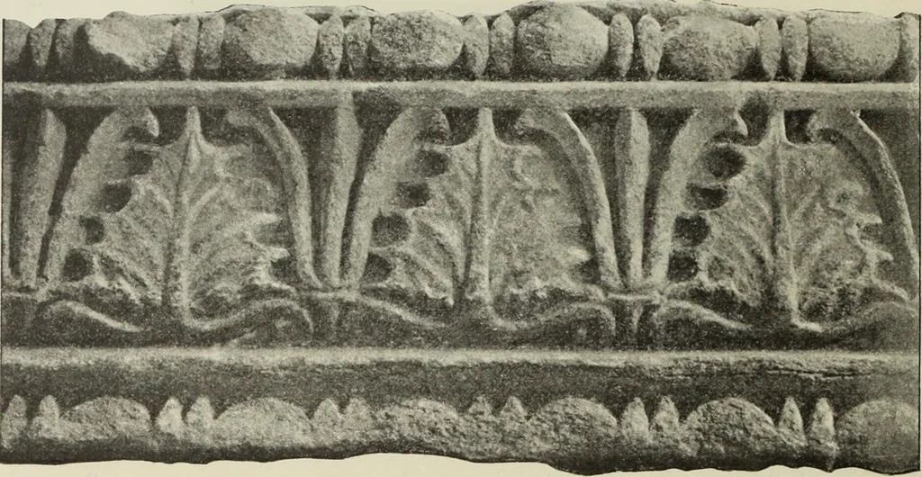 An illustration from Die Ursprungsformen des griechischen Akanthusornamentes und ihre naturlichen Vorbilder, 1896, leaf 33