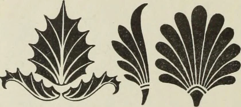 An illustration from Die Ursprungsformen des griechischen Akanthusornamentes und ihre naturlichen Vorbilder, 1896, leaf 33