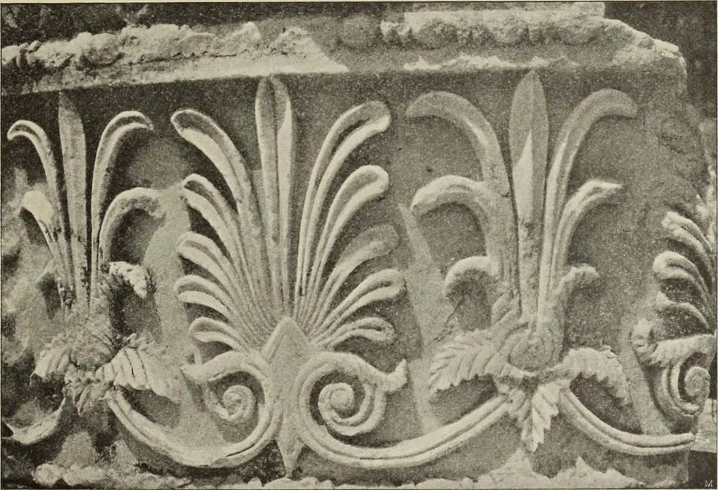 An illustration from Die Ursprungsformen des griechischen Akanthusornamentes und ihre naturlichen Vorbilder, 1896, leaf 34