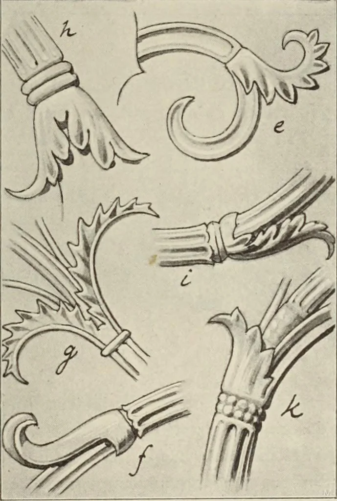 An illustration from Die Ursprungsformen des griechischen Akanthusornamentes und ihre naturlichen Vorbilder, 1896, leaf 36