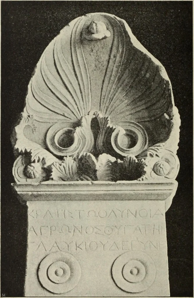 An illustration from Die Ursprungsformen des griechischen Akanthusornamentes und ihre naturlichen Vorbilder, 1896, leaf 39