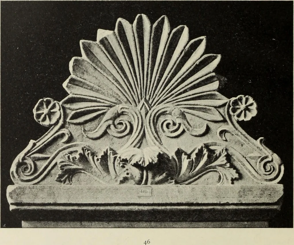 An illustration from Die Ursprungsformen des griechischen Akanthusornamentes und ihre naturlichen Vorbilder, 1896, leaf 41