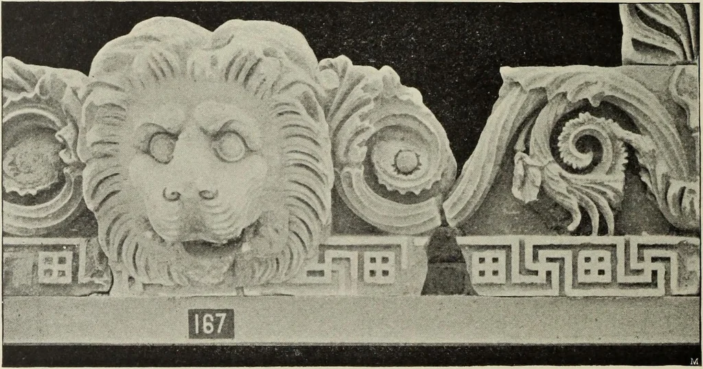 An illustration from Die Ursprungsformen des griechischen Akanthusornamentes und ihre naturlichen Vorbilder, 1896, leaf 43