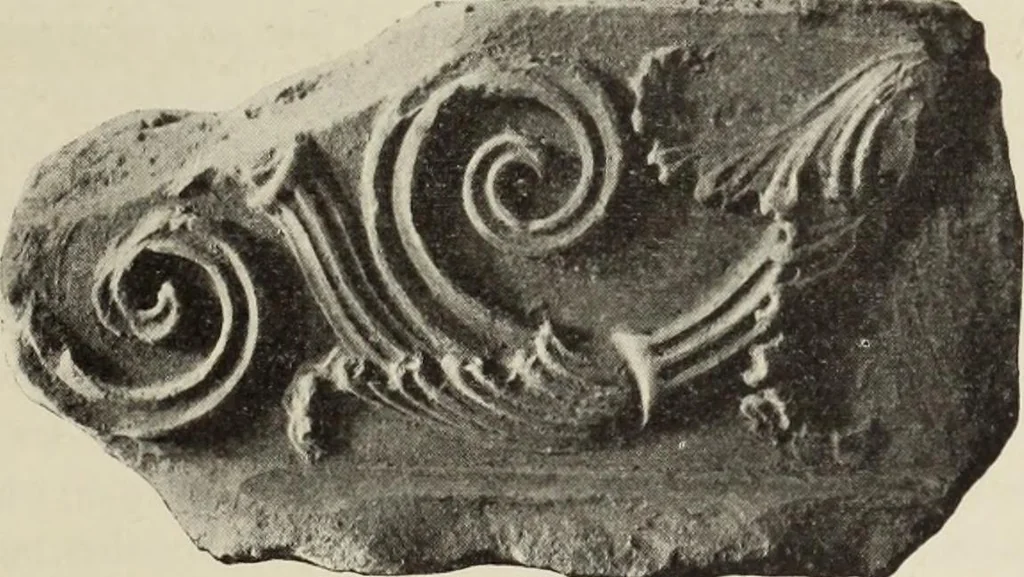 An illustration from Die Ursprungsformen des griechischen Akanthusornamentes und ihre naturlichen Vorbilder, 1896, leaf 44