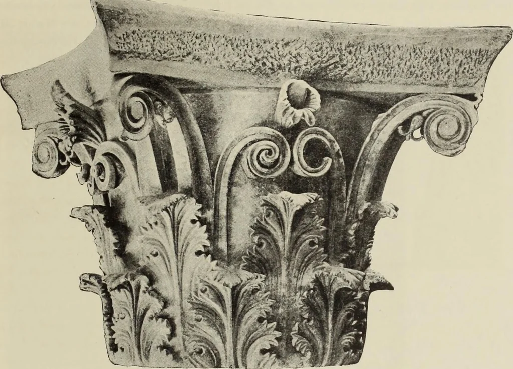An illustration from Die Ursprungsformen des griechischen Akanthusornamentes und ihre naturlichen Vorbilder, 1896, leaf 46